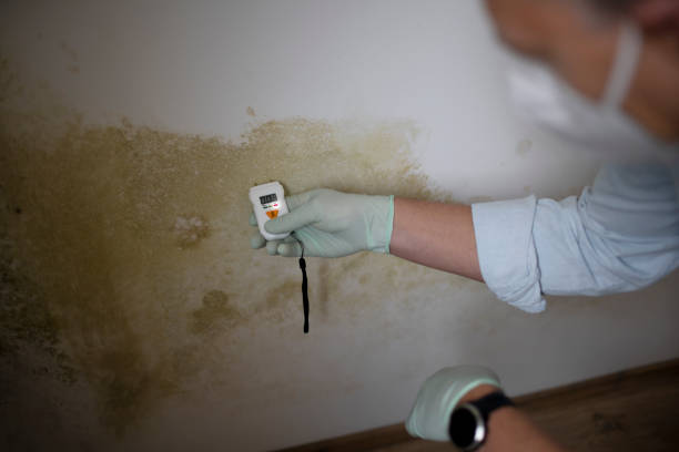 Water Damage Restoration in Rockfish, NC