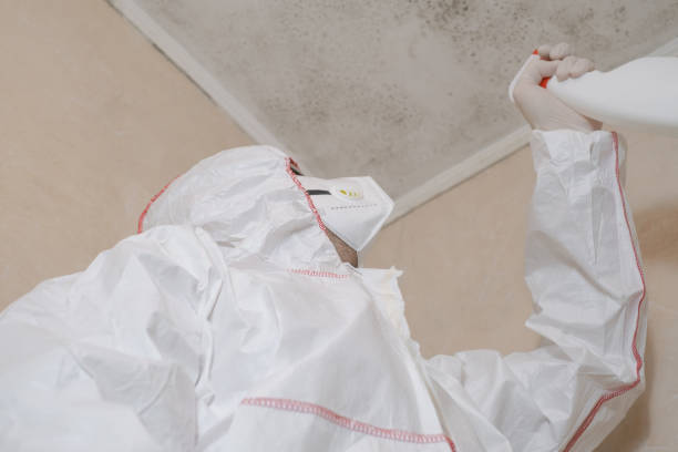 Mold Removal and Inspection in Rockfish, NC